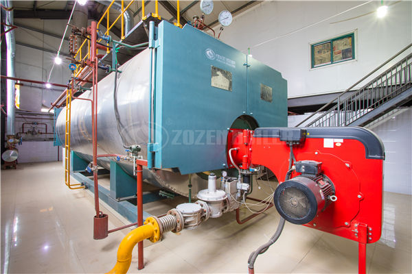12t/h91看片看片在线